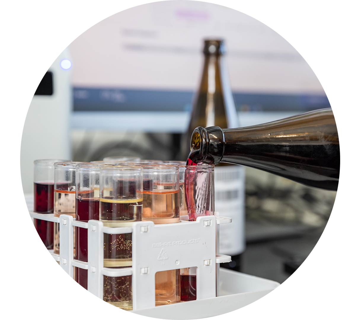 Wein wird im Labor in ein Reagenzglas gegossen.