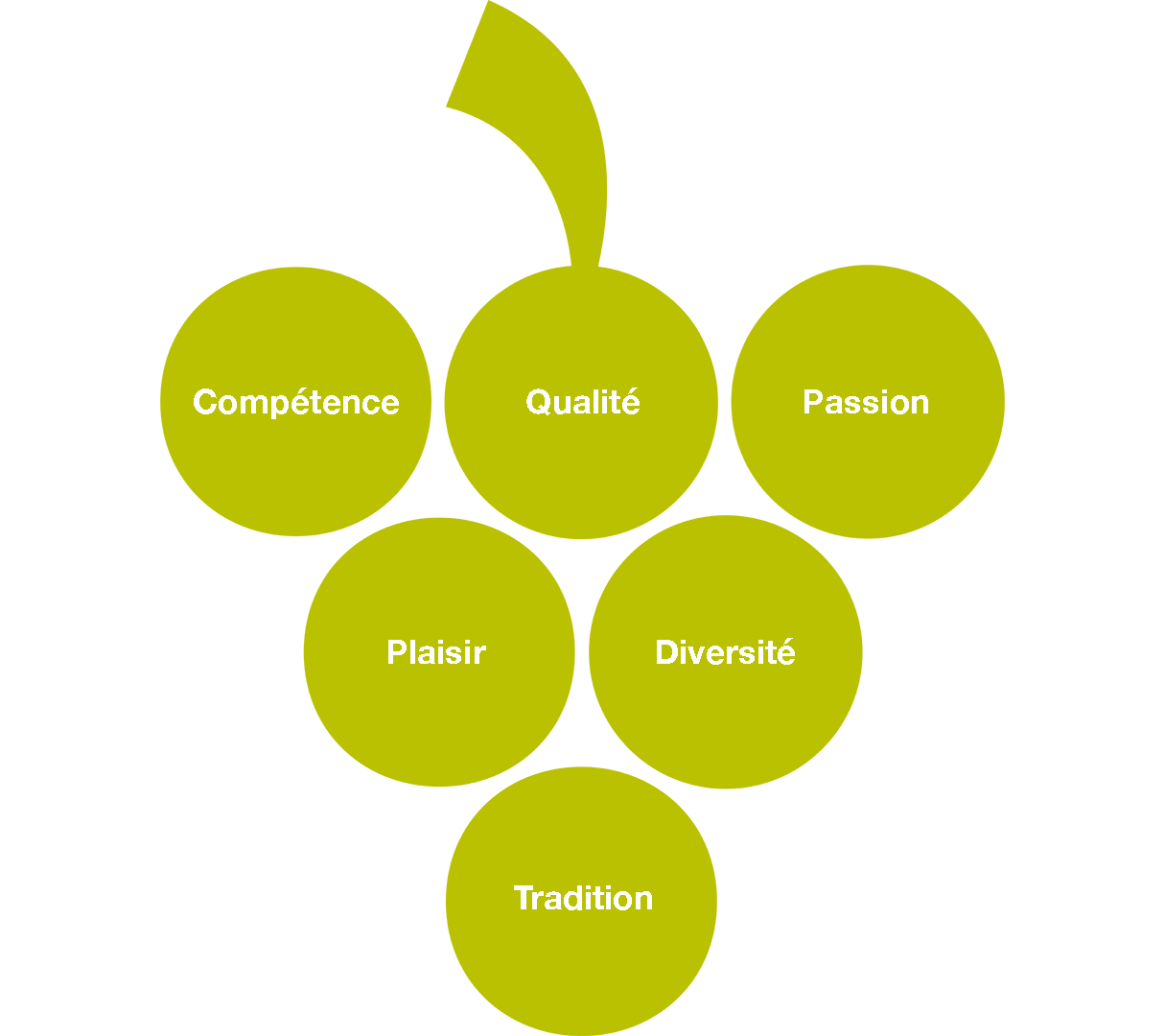 Graphique représentant les valeurs: compétence, qualité, passion, plaisir, polyvalence et tradition.